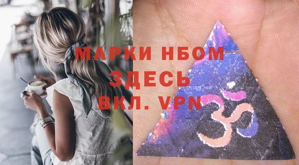 СК Алексин
