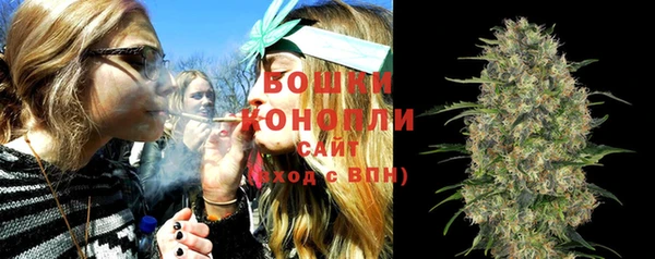 гашик Сафоново