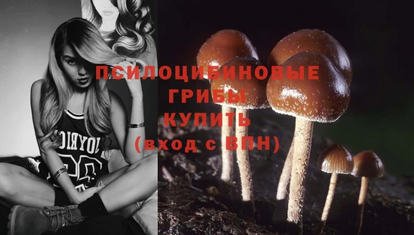бошки Абинск