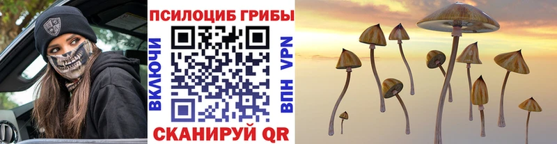 Галлюциногенные грибы Psilocybe Тюмень